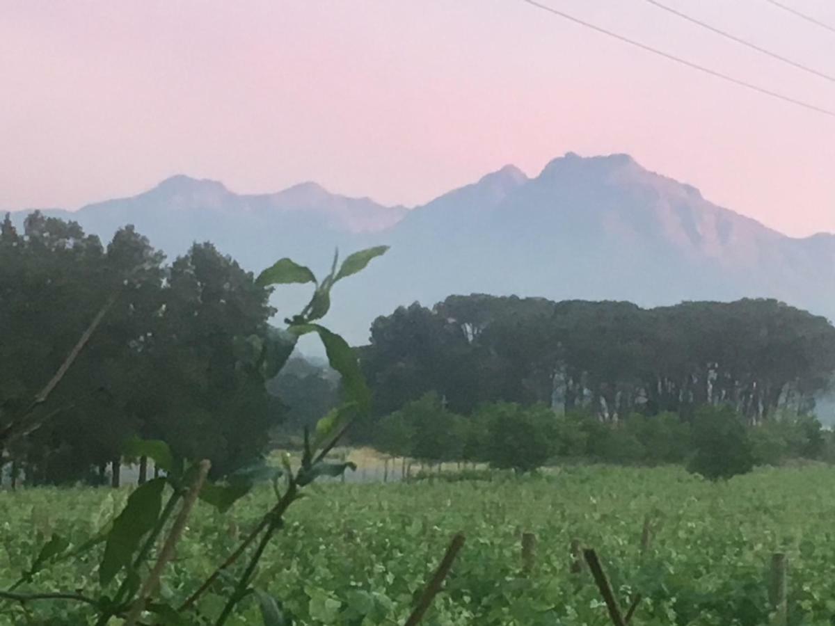 Rouana Guest Farm Hotel Stellenbosch Exterior foto