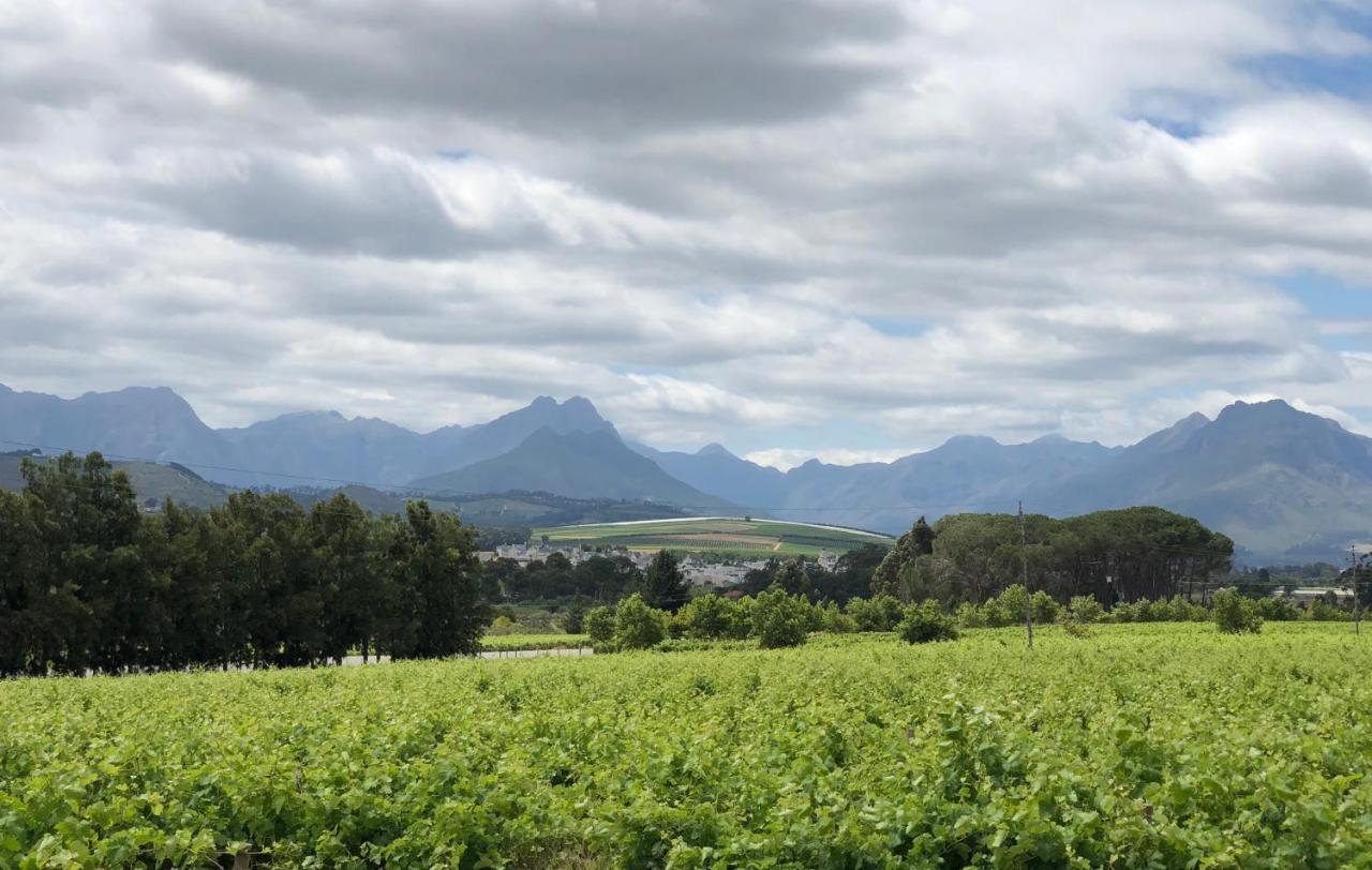Rouana Guest Farm Hotel Stellenbosch Exterior foto